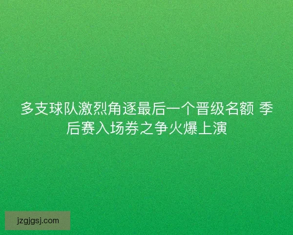 多支球队激烈角逐最后一个晋级名额 季后赛入场券之争火爆上演