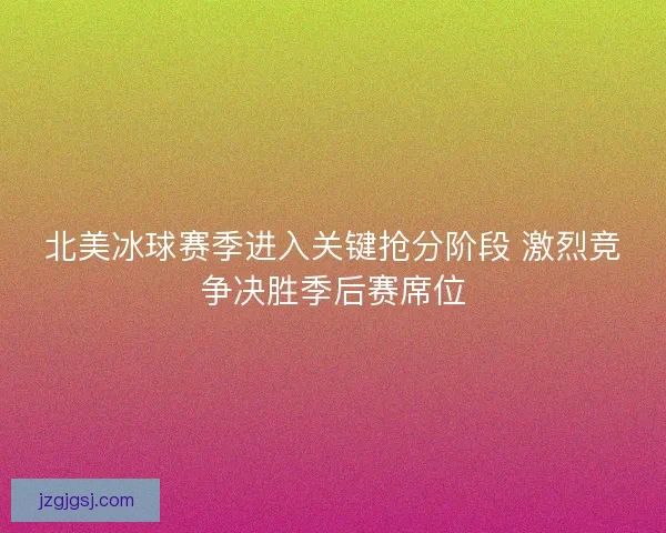 北美冰球赛季进入关键抢分阶段 激烈竞争决胜季后赛席位